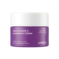 NIACINAMIDE 5+OVERNIGHT CREAM